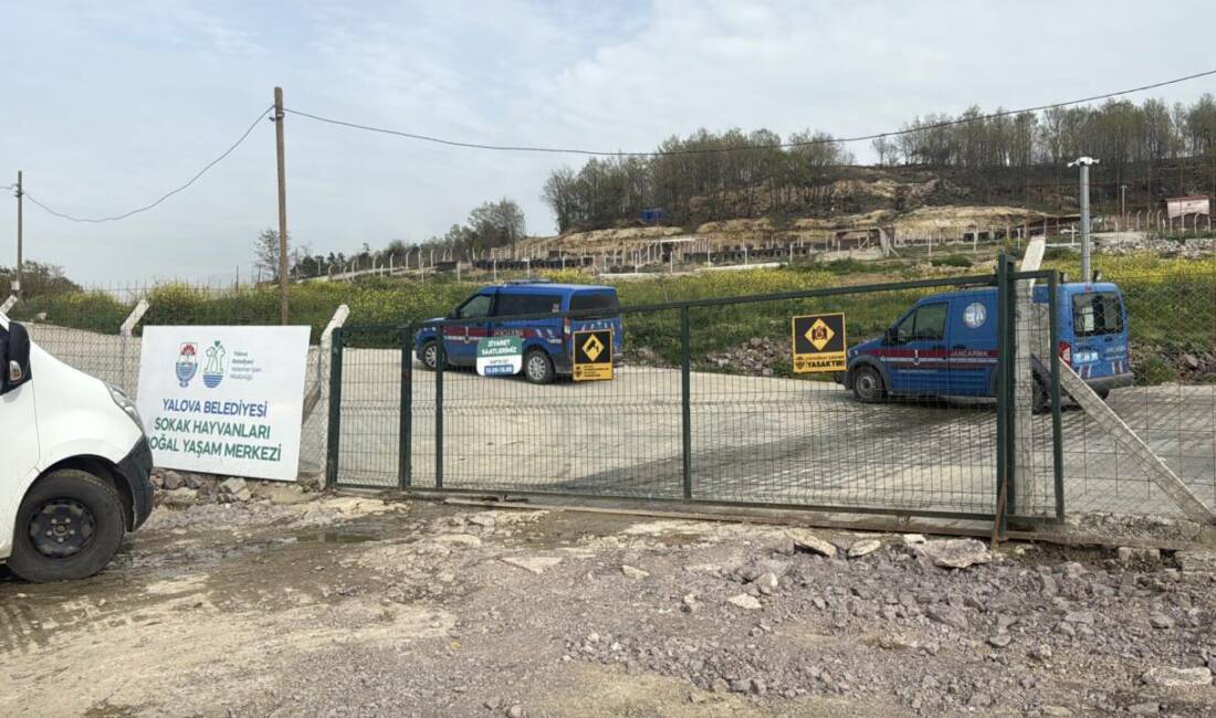 Yalova’da hayvan ölümleri iddialarına soruşturma Yalova’da hayvanseverlerin, Yalova Belediyesi Sokak Hayvanları Yaşam Merkezi’nde hayvan ölümleri