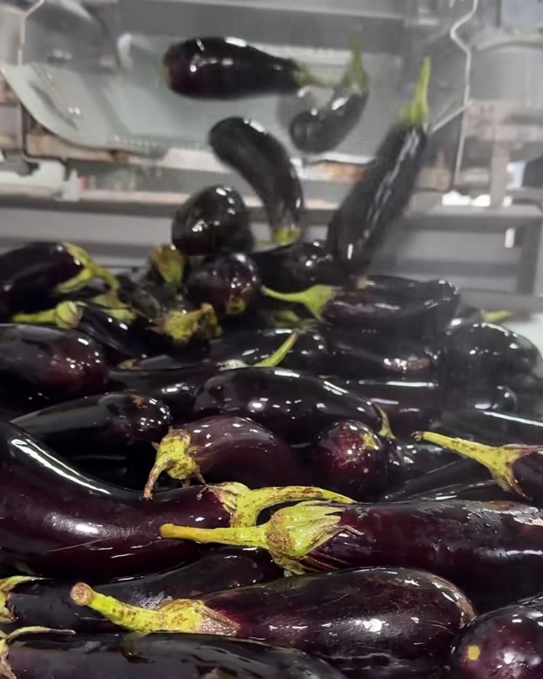 Referans Catering, ozonlu yıkama sistemi ile gıda güvenliği standartlarını yükseltiyor 3 Referans Catering, Ozonlu Yıkama Sistemi ile Gıda Güvenliği Standartlarını Yükseltiyor