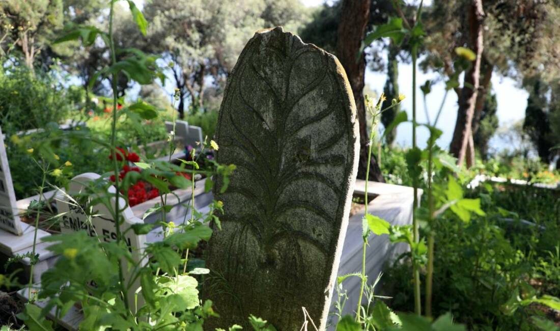 Mudanya Belediyesi, ilçenin tarihsel mirasını geleceğe taşımak için kapsamlı bir