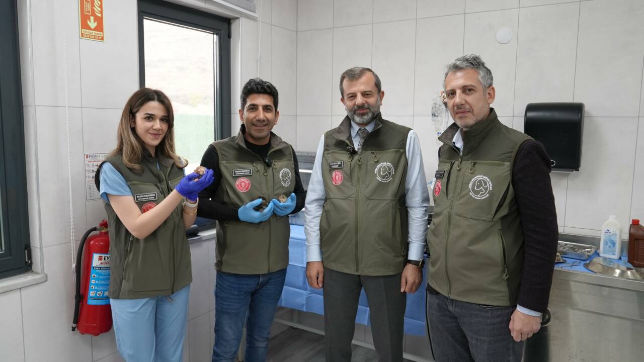 Bursa'da 7 yavruya annelik yapan can dostu 2 aa 20260504 41286756 41286755 bursadadogumyapankedibaskayavrularindasutanneliginiustlendi
