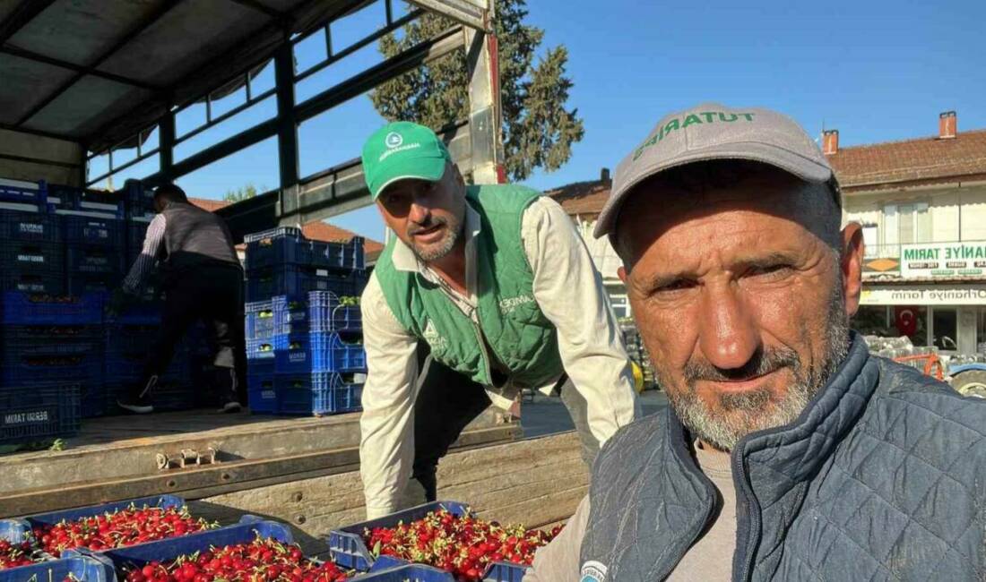 Bursa İznik’te mevsimin ilk karabodur kirazı hasadı başladı Bursa’nın İznik ilçesine bağlı Orhaniye Mahallesi’nde mevsimin ilk karabodur kirazı