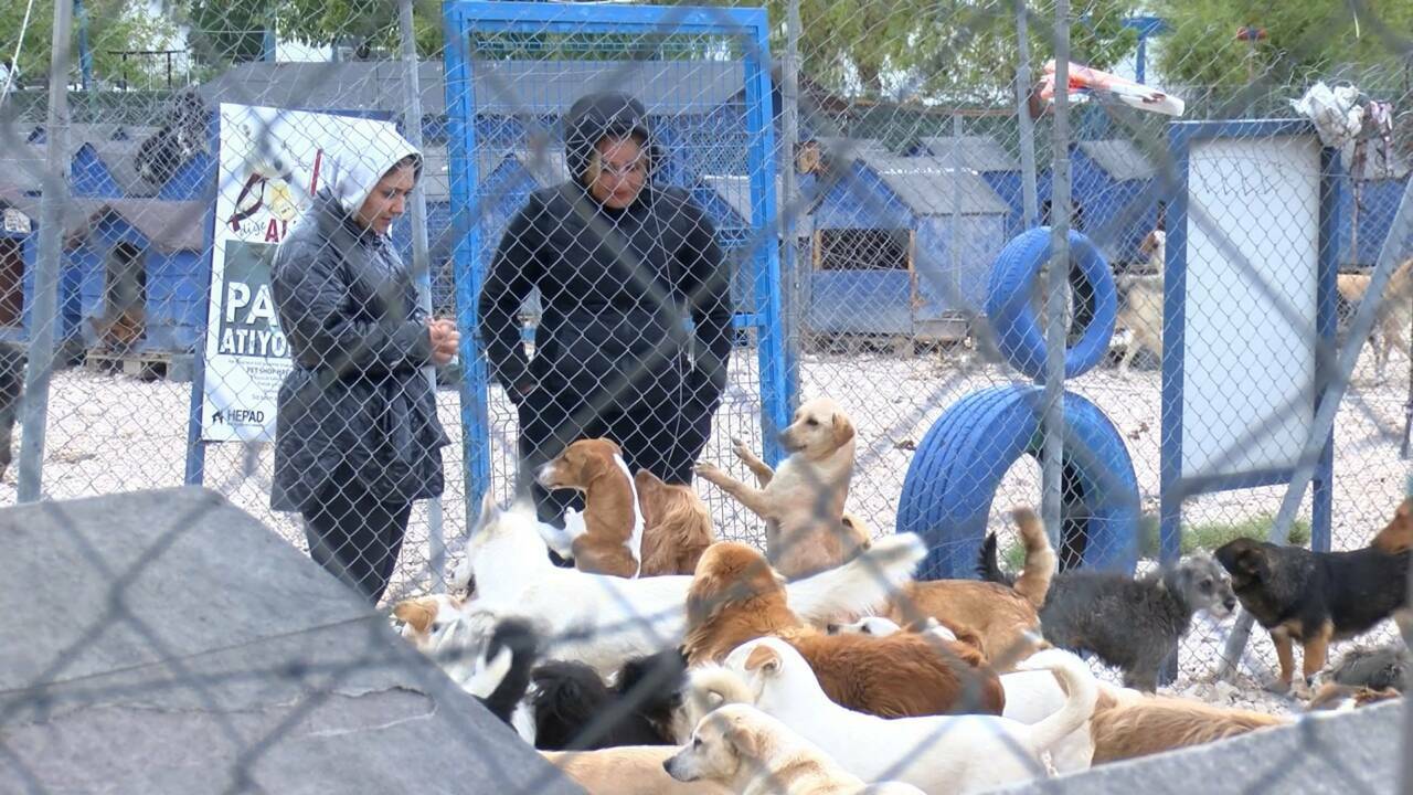 bursada barinaklarda yer kalmadi 53e8fdeb323f
