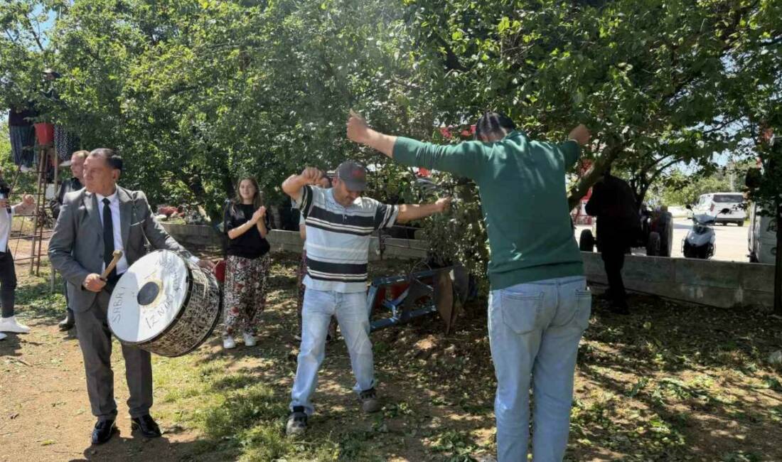 Bursa’da böyle hasat görülmedi! Çiftçi sevinçten oynadı Bursa’nın İznik ilçesinde erikte rekolte beklentisi geçen seneye göre 4