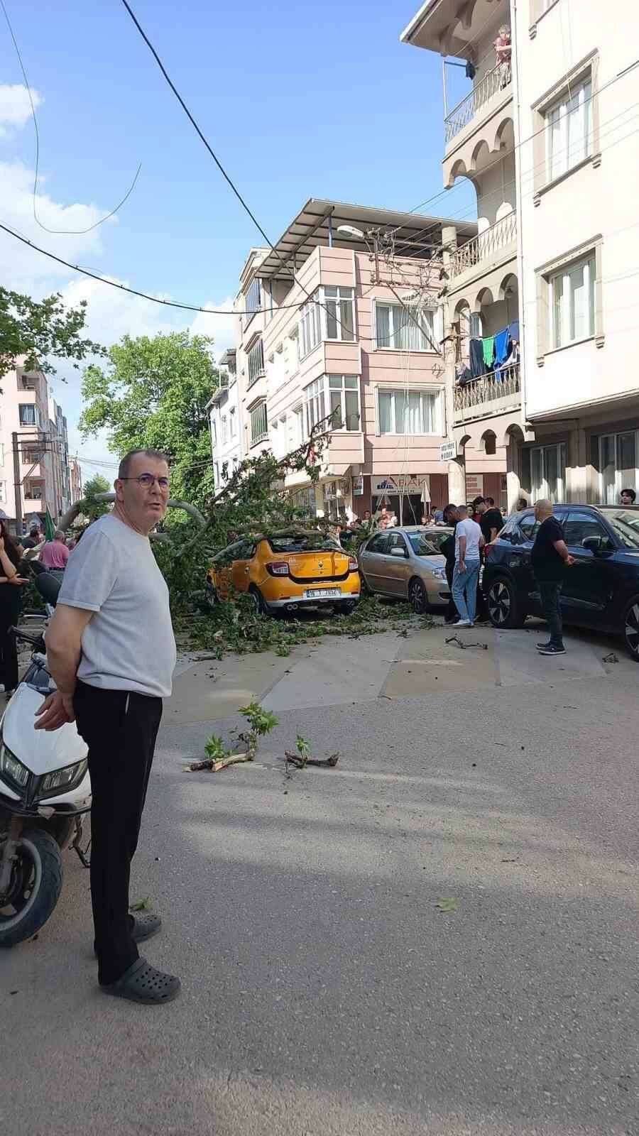 bursada inanilmaz olay seyir halindeki araclarin uzerine agac devrildi 63f848111d3d