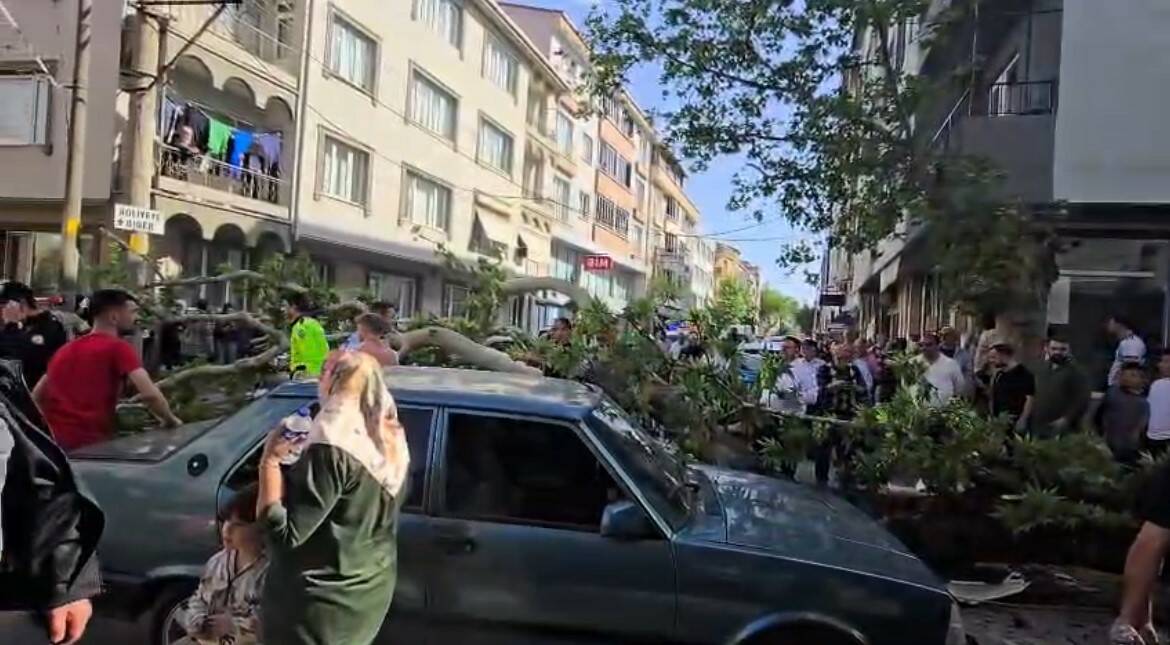 bursada inanilmaz olay seyir halindeki araclarin uzerine agac devrildi e1c5a13c3a2f