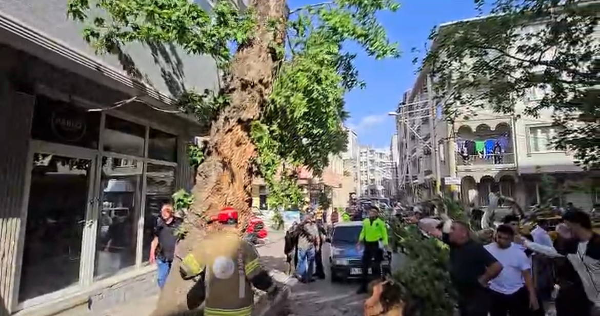 bursada inanilmaz olay seyir halindeki araclarin uzerine agac devrildi e582bcaded97