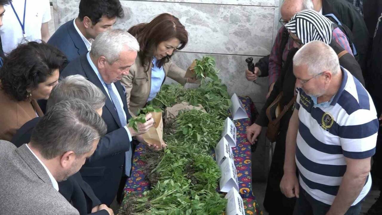 Bursa'da insanlar buraya akın etti! 120 bin adedi ücretsiz dağıtıldı... 3 bursada insanlar buraya akin etti 120 bin adedi ucretsiz dagitildi 35b7c64f0a02