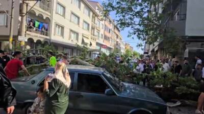 Bursa’nın Karacabey ilçesinde devrilen ağacın altında kalan motosiklet sürücüsünün durumunun