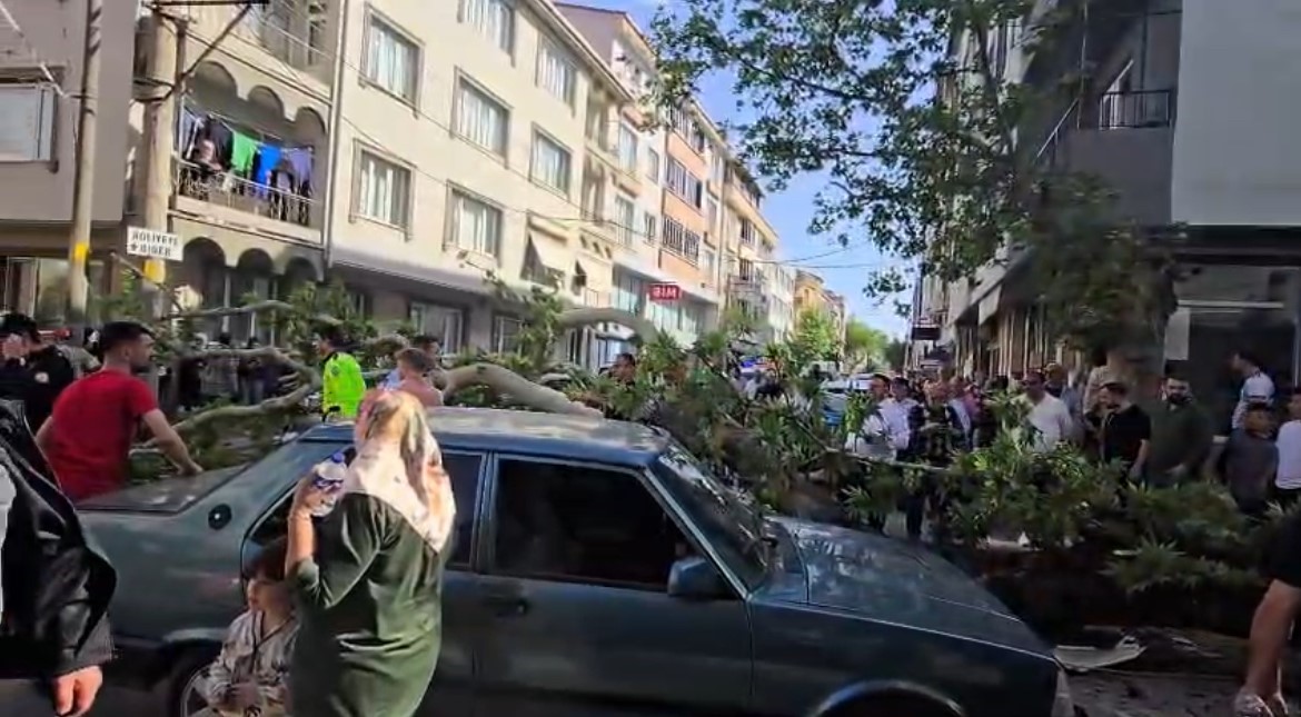 bursada korkunc olay devrilen agacin altinda kaldi 420d0a70ba4e