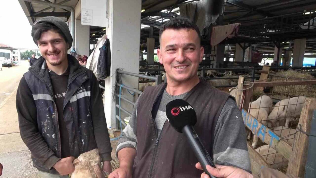 Bursa'da kurbanlık pazarında güldüren anlar 7 bursada kurbanlik pazarinda gulduren anlar 0db715694826