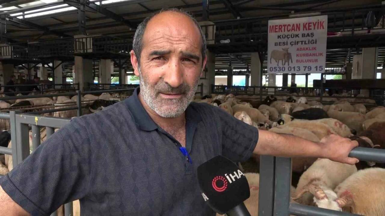 Bursa'da kurbanlık pazarında güldüren anlar 8 bursada kurbanlik pazarinda gulduren anlar 1c8b9508f957