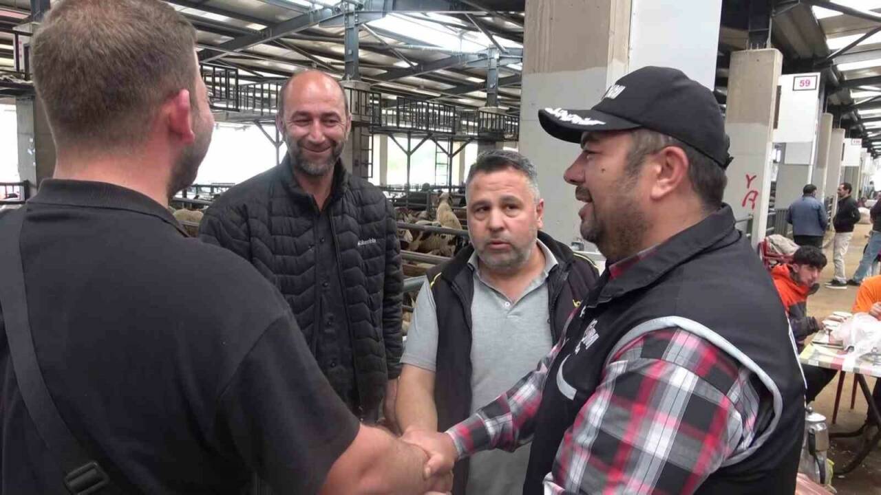 Bursa'da kurbanlık pazarında güldüren anlar 11 bursada kurbanlik pazarinda gulduren anlar 2d80ba93dc6f