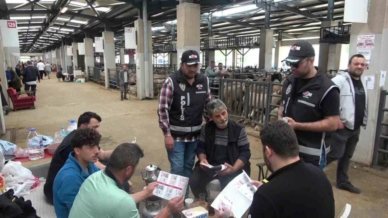 Bursa'da kurbanlık pazarında güldüren anlar 10 bursada kurbanlik pazarinda gulduren anlar 95fa93cc6852