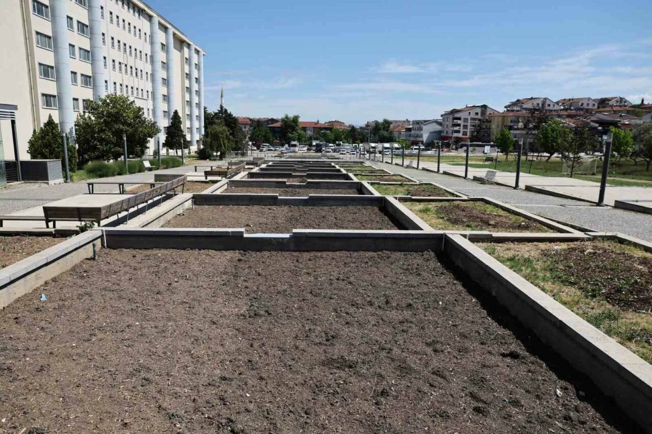 Bursa'da Nilüfer'in merkezindeki atıl alan bakın nasıl değerlendirilecek 2 bursada niluferin merkezindeki atil alan bakin nasil degerlendirilecek e97a6426276d