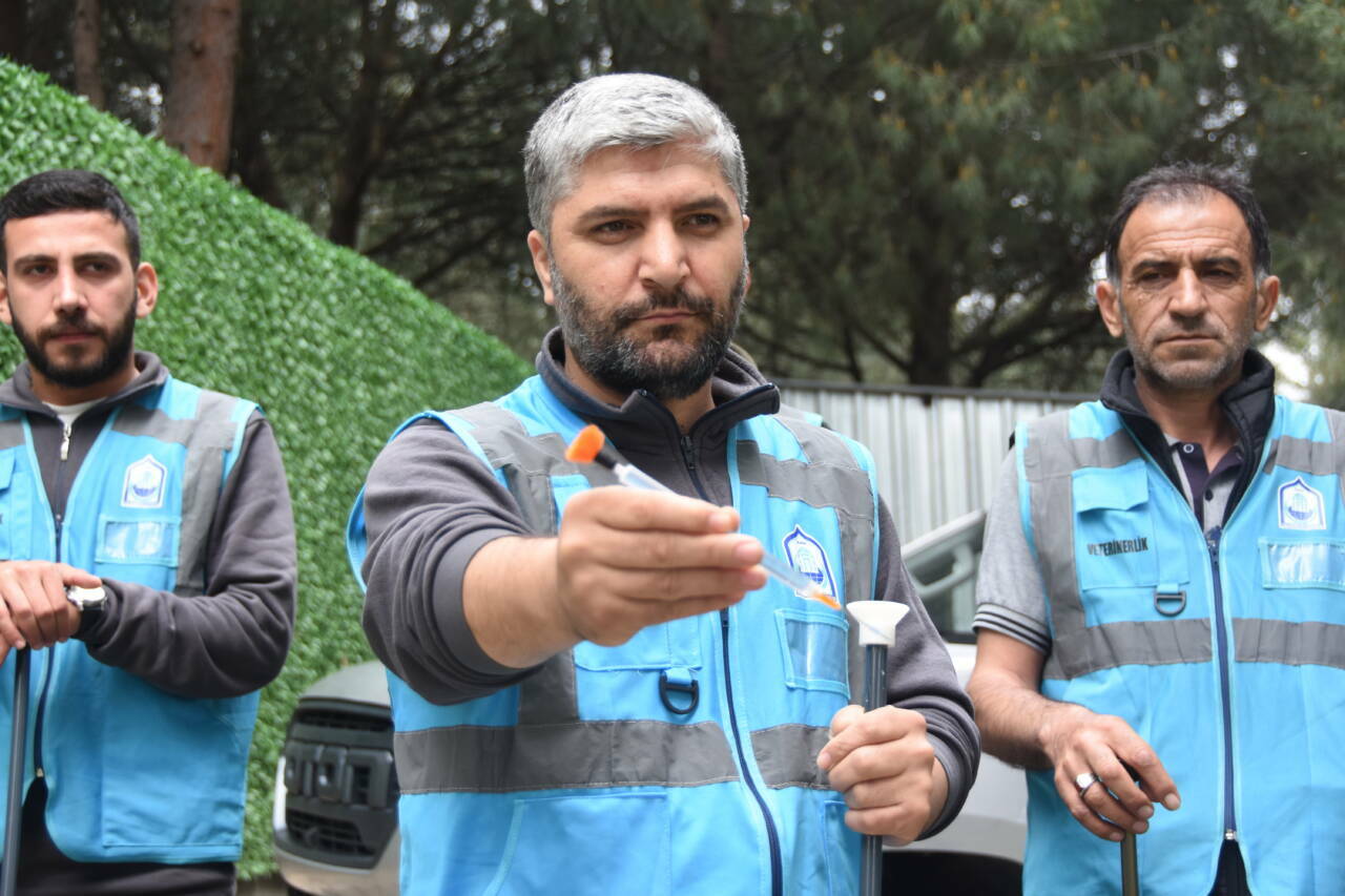 Bursa’da özel tim iş başında! Kaçan boğaları bu ekip yakalayacak 5 bursada ozel tim is basinda kacan bogalari bu ekip yakalayacak 220974770e7a