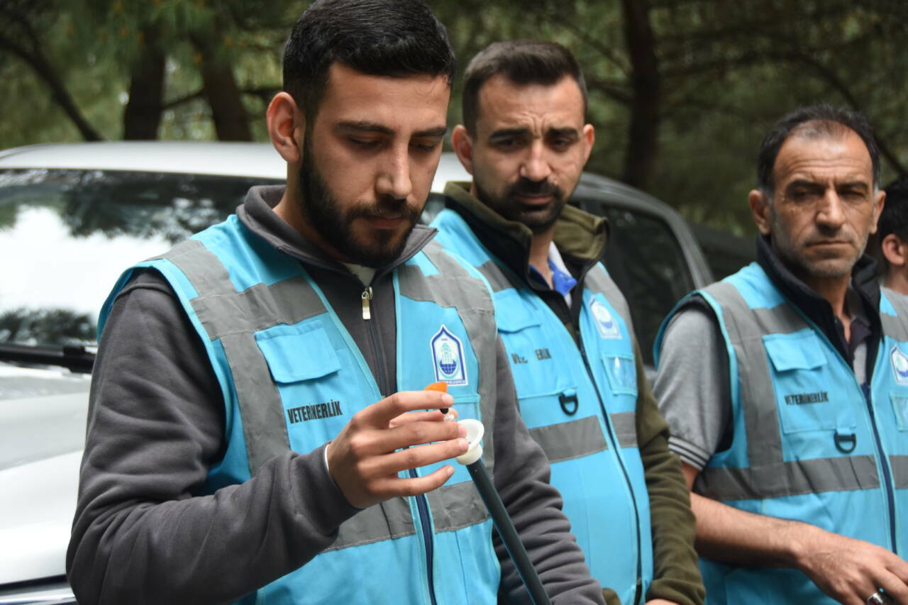 Bursa’da özel tim iş başında! Kaçan boğaları bu ekip yakalayacak 2 bursada ozel tim is basinda kacan bogalari bu ekip yakalayacak 6ae92192bfa1