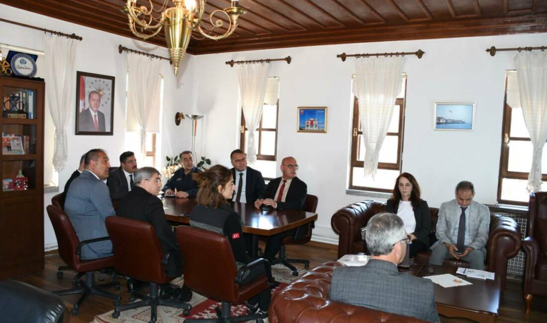 Bursa'nın Mudanya ilçesinde, sahipsiz hayvanlara yönelik yürütülen çalışmaların ele alındığı