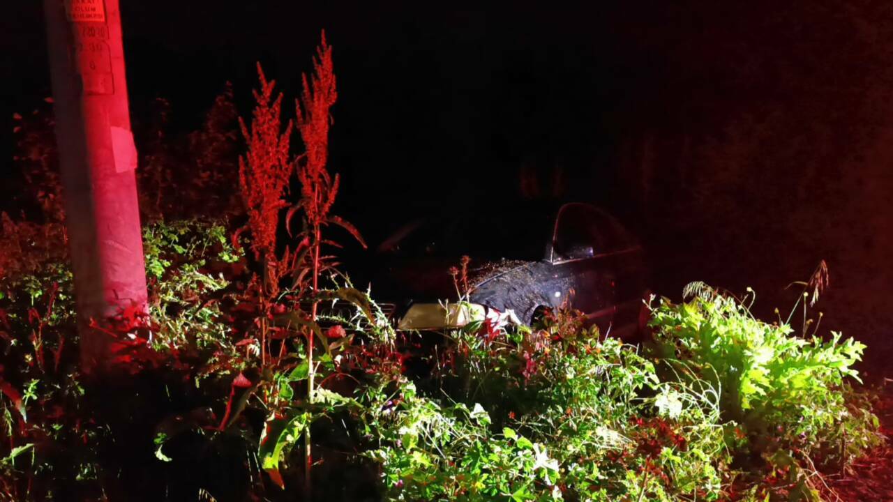 Bursa'da tarlaya uçan otomobilini bırakıp kaçtı 2 bursada tarlaya ucan otomobilini birakip kacti b91e694a9fd8