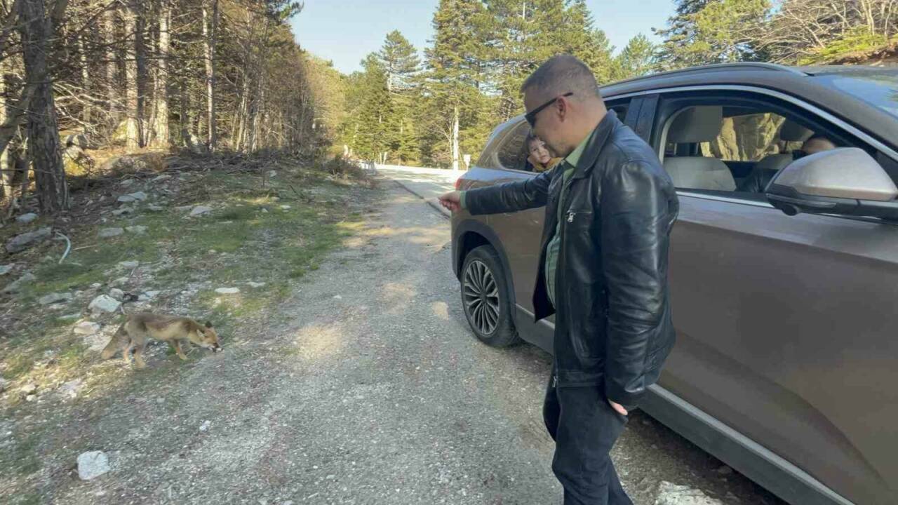 bursada uludag donusu surpriz misafir 8c1512ee54c3