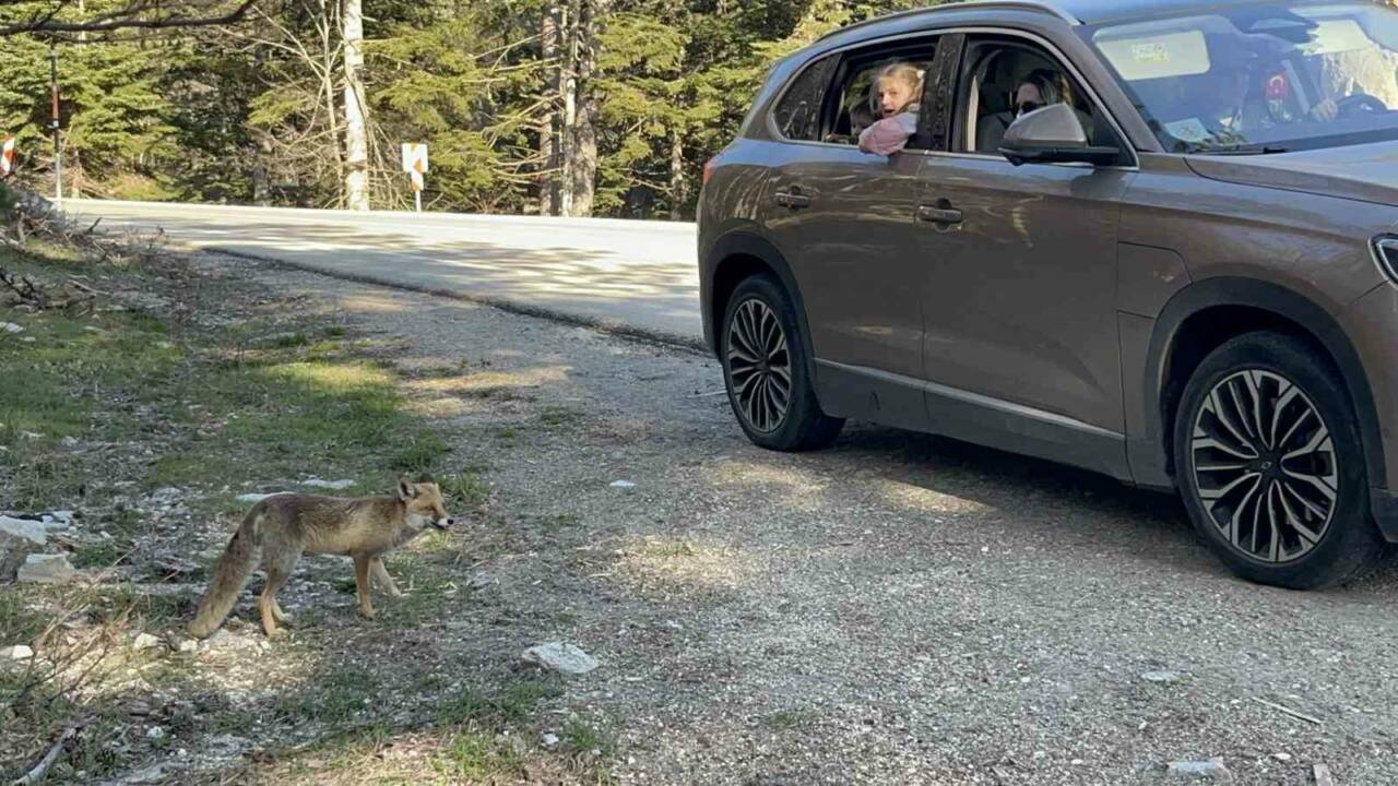 bursada uludag donusu surpriz misafir b85cc2fb914b