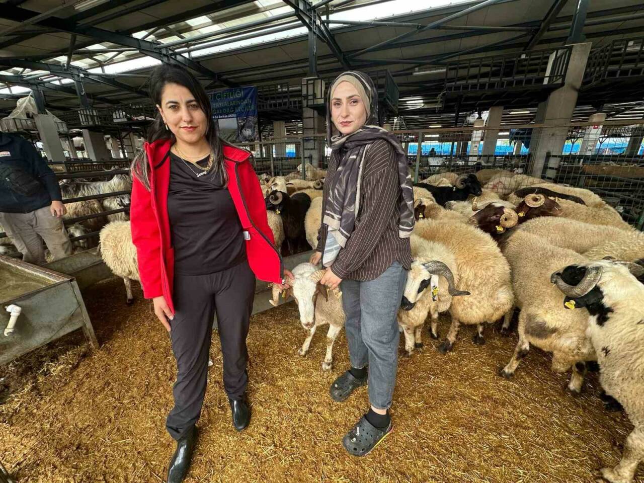 Bursa’daki kurban pazarında iki genç kadın celep, rekabeti artırdı 5 bursadaki kurban pazarinda iki genc kadin celep rekabeti artirdi 7ac2b4d6ed50