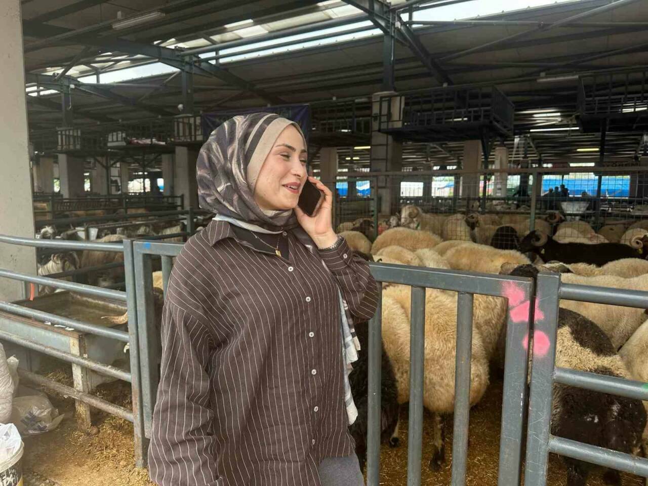 Bursa’daki kurban pazarında iki genç kadın celep, rekabeti artırdı 2 bursadaki kurban pazarinda iki genc kadin celep rekabeti artirdi b7add7748758