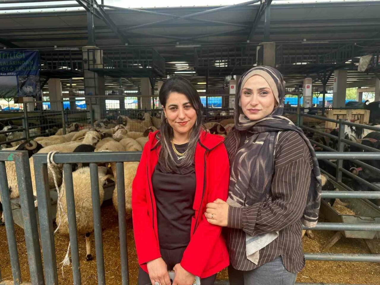 Bursa’daki kurban pazarında iki genç kadın celep, rekabeti artırdı 4 bursadaki kurban pazarinda iki genc kadin celep rekabeti artirdi c468795822f7