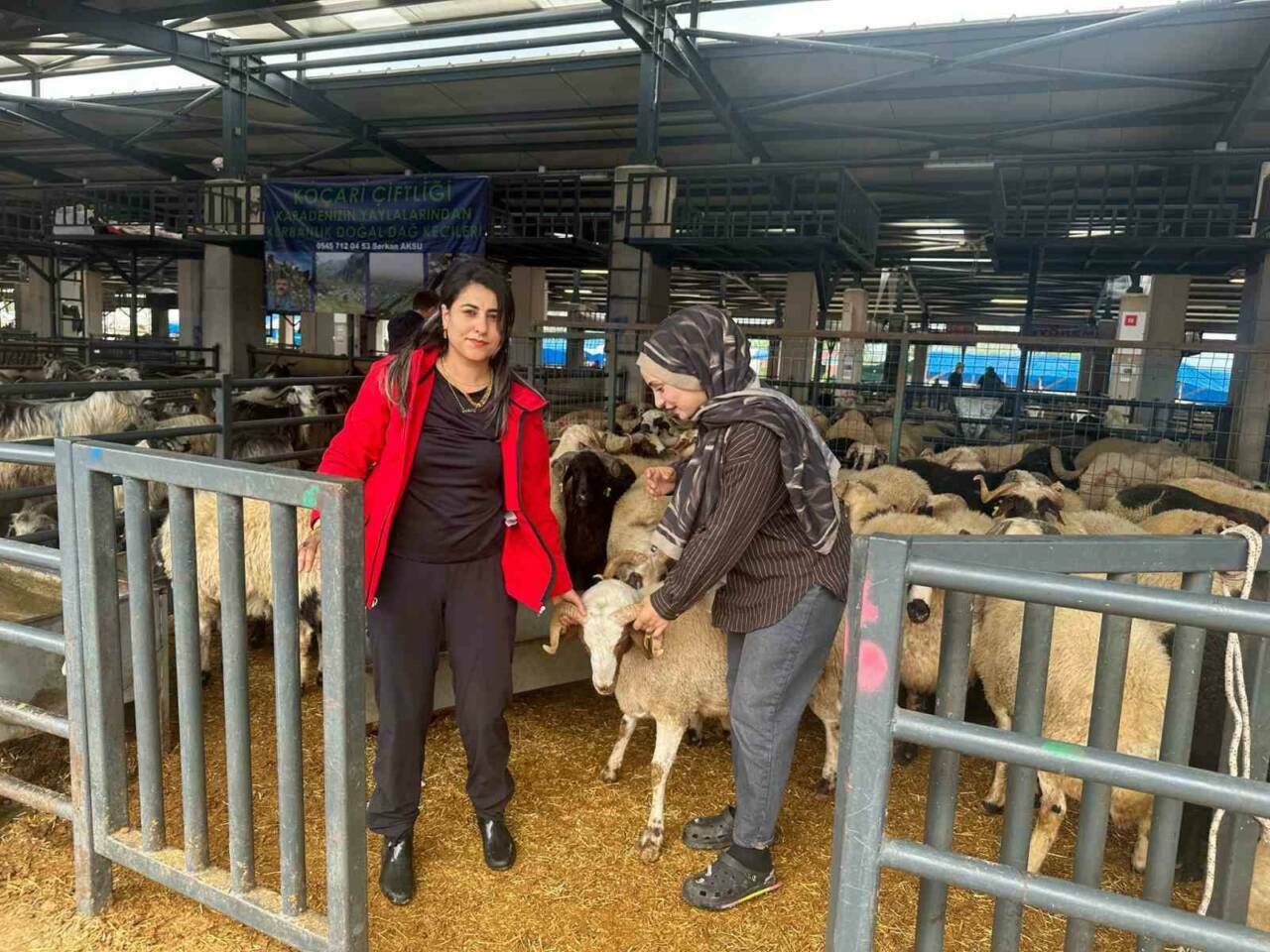 Bursa’daki kurban pazarında iki genç kadın celep, rekabeti artırdı 3 bursadaki kurban pazarinda iki genc kadin celep rekabeti artirdi d5819a70db0c