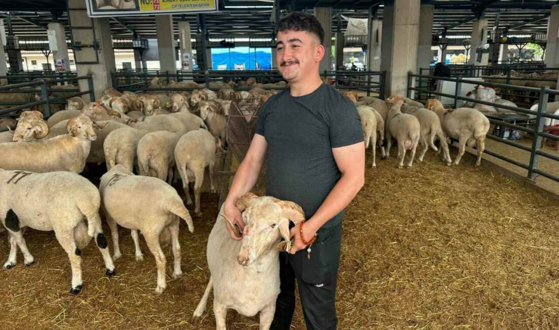 Bursa’daki kurban pazarında sıra dışı koç! Görenler şaşıyor… Eskişehir’in Çifteler ilçesinden Bursa’ya getirilen ve burnunun üzerindeki üçüncü boynuzuyla