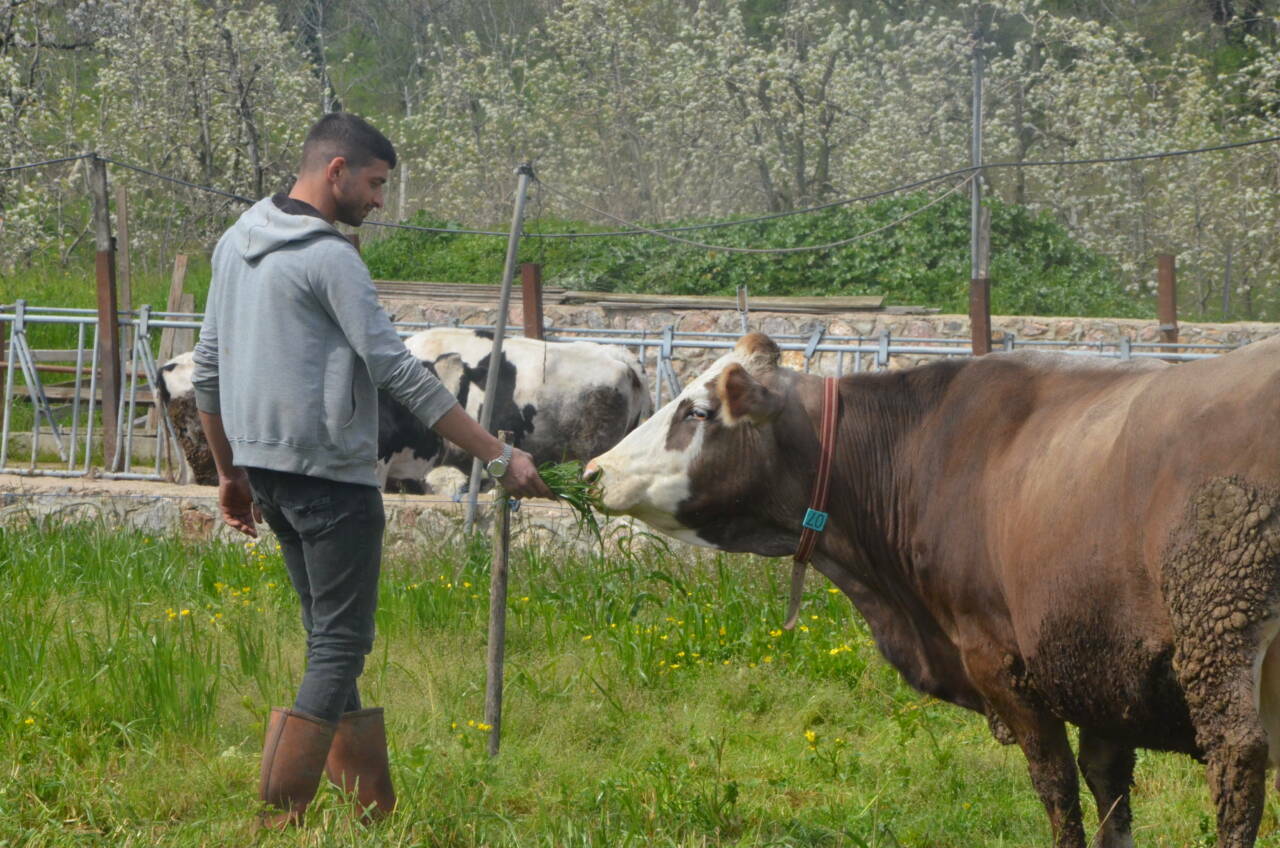 Bursalı gençten hayatını değiştiren karar! 5 bursali gencten hayatini degistiren karar c076390d0e46