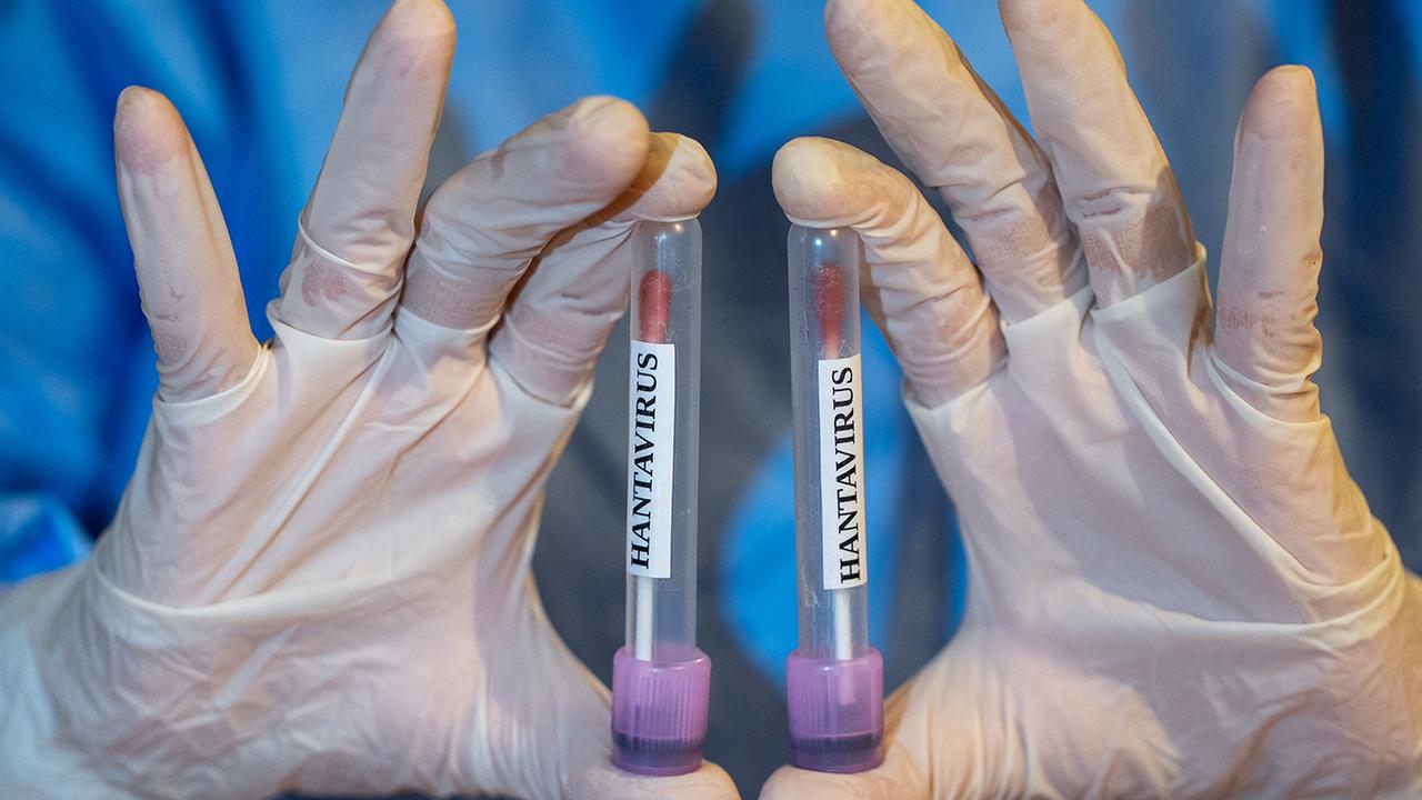 Hantavirüs pandemiye dönüşecek mi? 1 hantavirus pandemiye donusecek mi 26b7f7e3afac