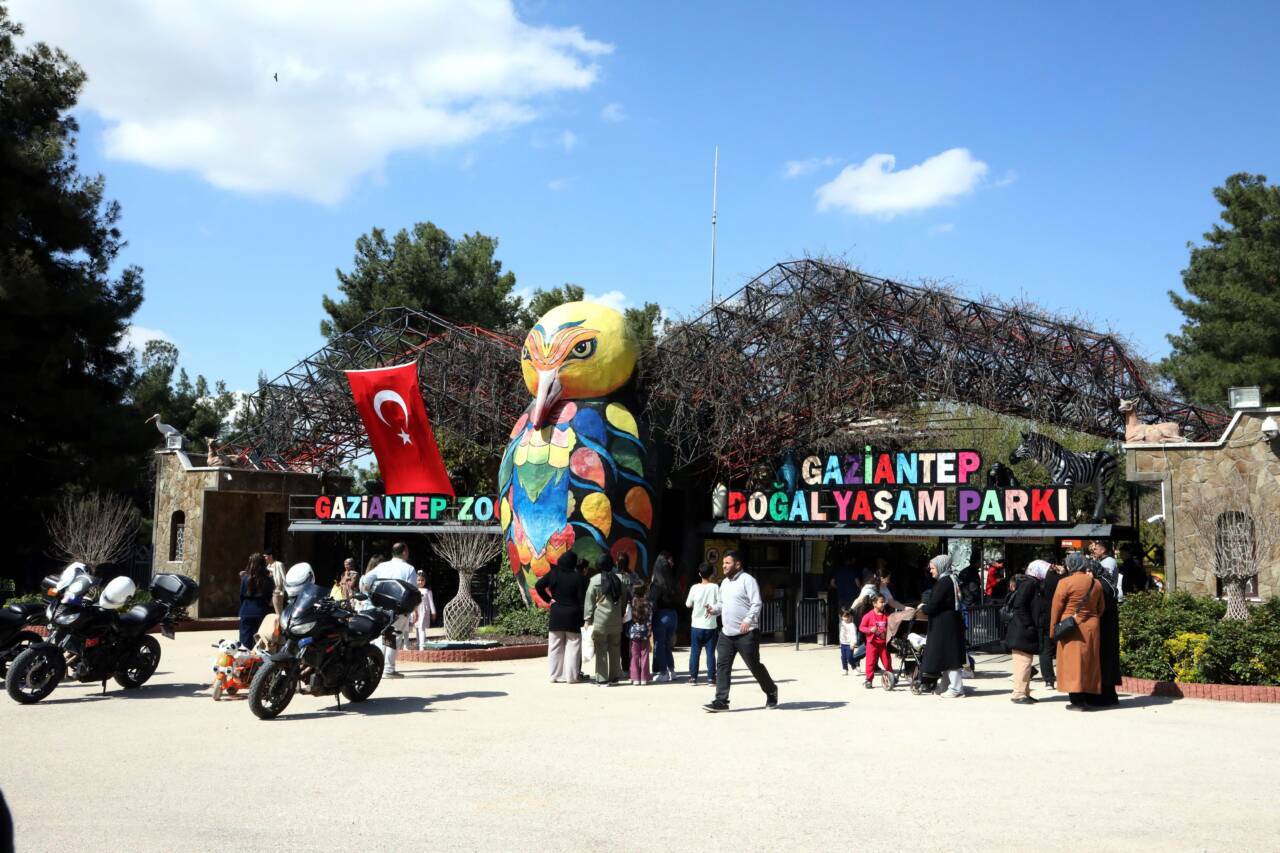 iste turkiyede dogan ilk zurafa bakin ismi ne oldu 1c62837d78c6