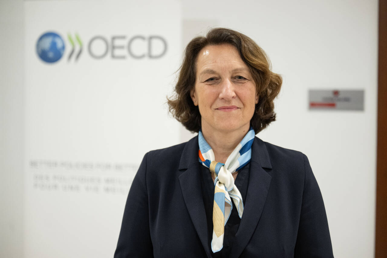OECD'den Türkiye mesajı! Kritik minerallerde önemli aktör 1 oecd turkiyenin kritik minerallerde tedarik gucune dikkati cekti b9ed346ce4d4