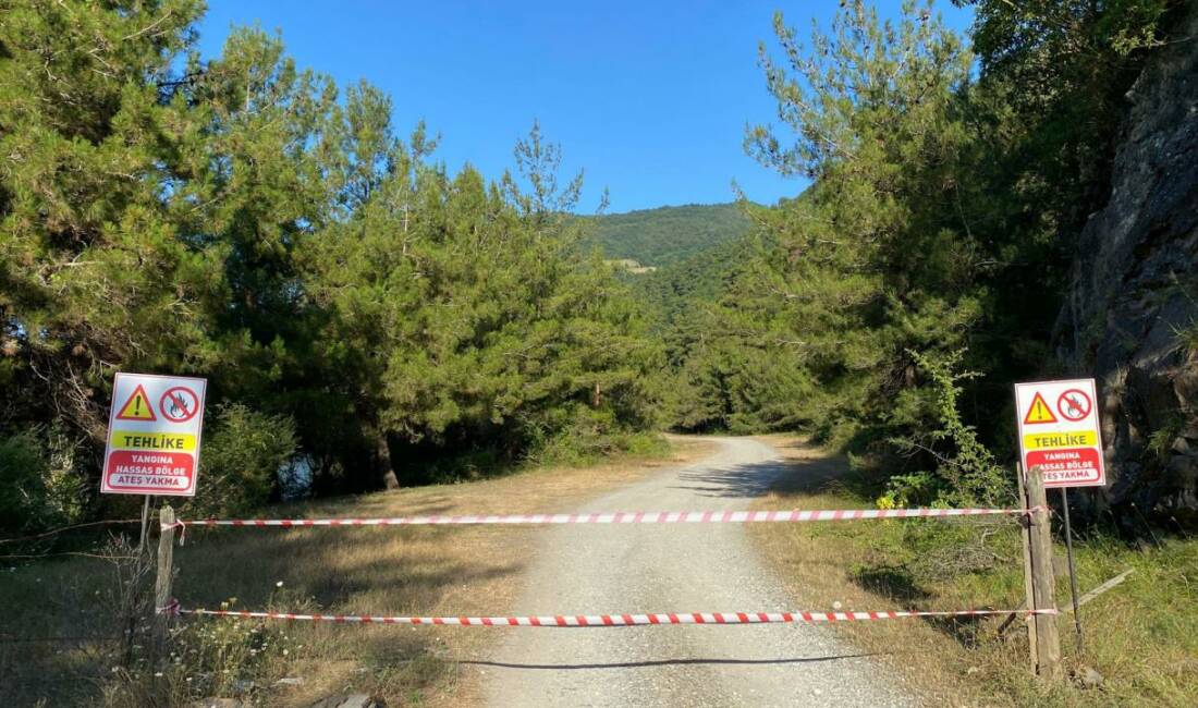 Ormanlara girişler yasaklandı Ankara sınırları içinde yer alan milli park, mesire alanları, tabiat