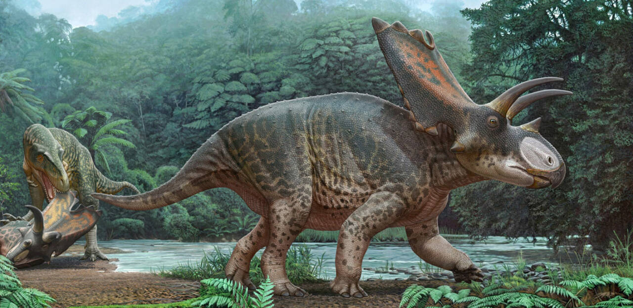 taylandda yeni bir dinozor turune ait kalintilar bulundu ffbd38c79926