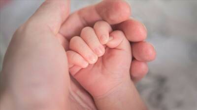 Türkiye'de, geçen yıl 84 bin 235 ile en çok canlı