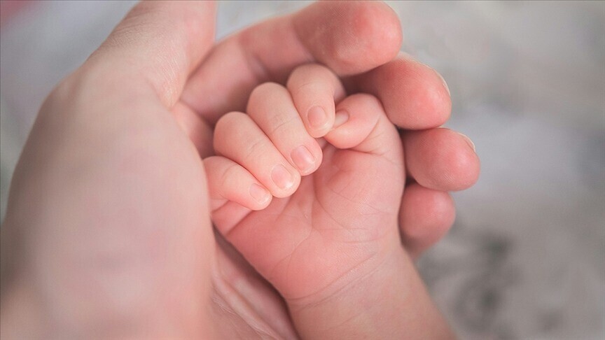 Türkiye'de, geçen yıl 84 bin 235 ile en çok canlı