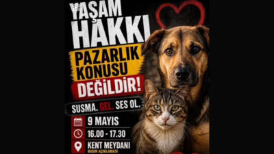 Bursa’da hayvanseverler, İl Hayvanları Koruma Kurulu’nun 31 Mart’ta aldığı kararları