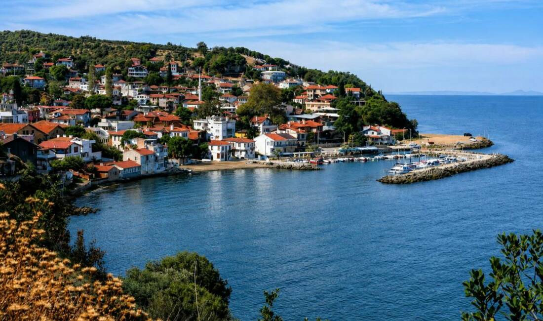 Mudanya Belediyesi tarafından bu yıl ikincisi düzenlenecek Tirilye Zeytin Çiçeği