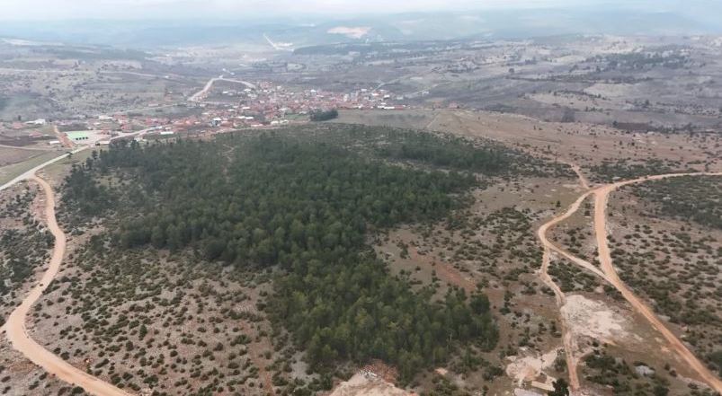 Olay Gazetesi Yazarı Ahmet Emin Yılmaz, Bursa'ya yapılacak yeni cezaevi