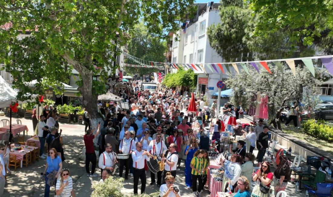Mudanya Belediyesi tarafından bu yıl ikinci kez düzenlenen Tirilye Zeytin