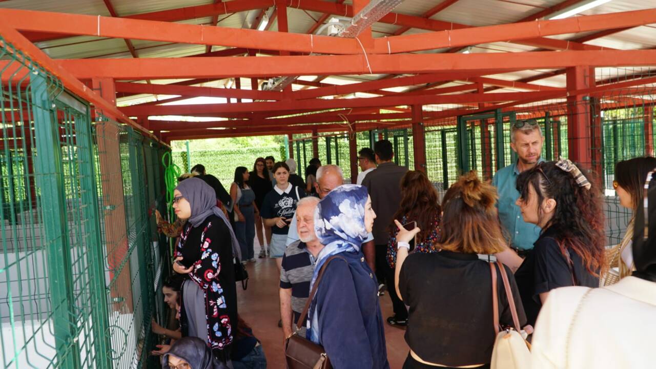 Bursa'ya Güney Marmara'nın en modern hayvan bakımevi 12 34fb1c70 465f 4c79 b920 f5c0f564f931