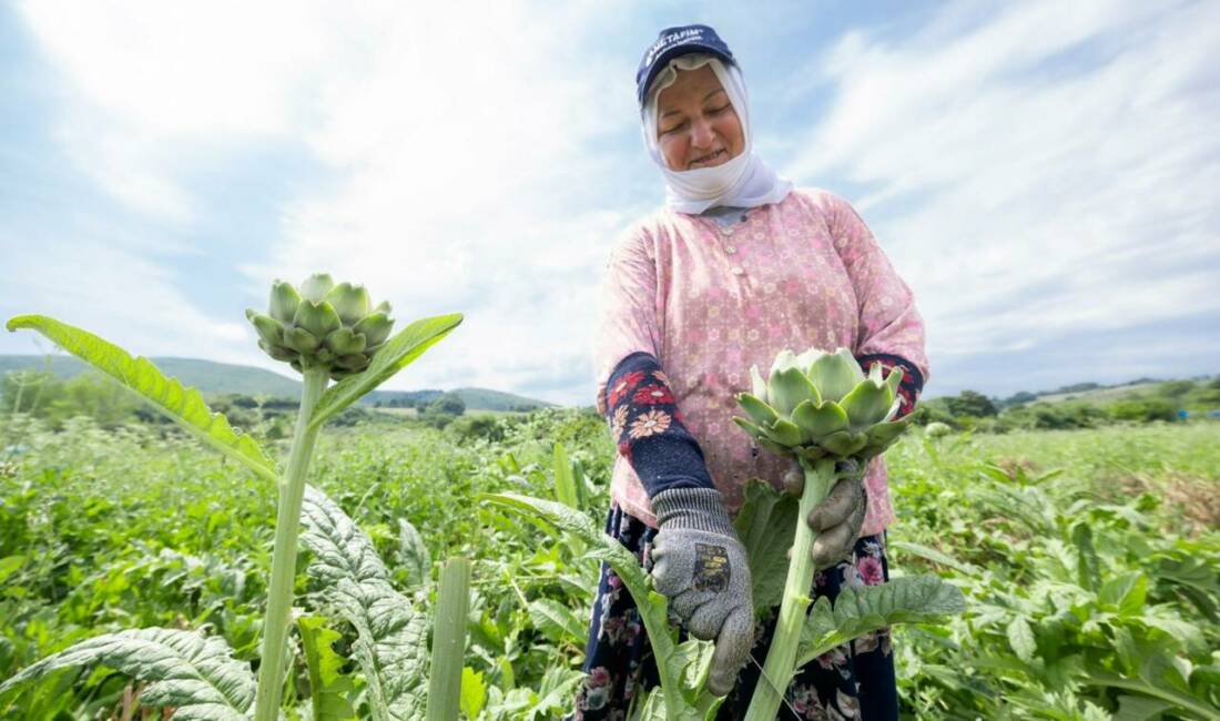 Bursa Büyükşehir Belediyesi, şehrin gastronomi kültürünü ve tarımsal üretim değerlerini