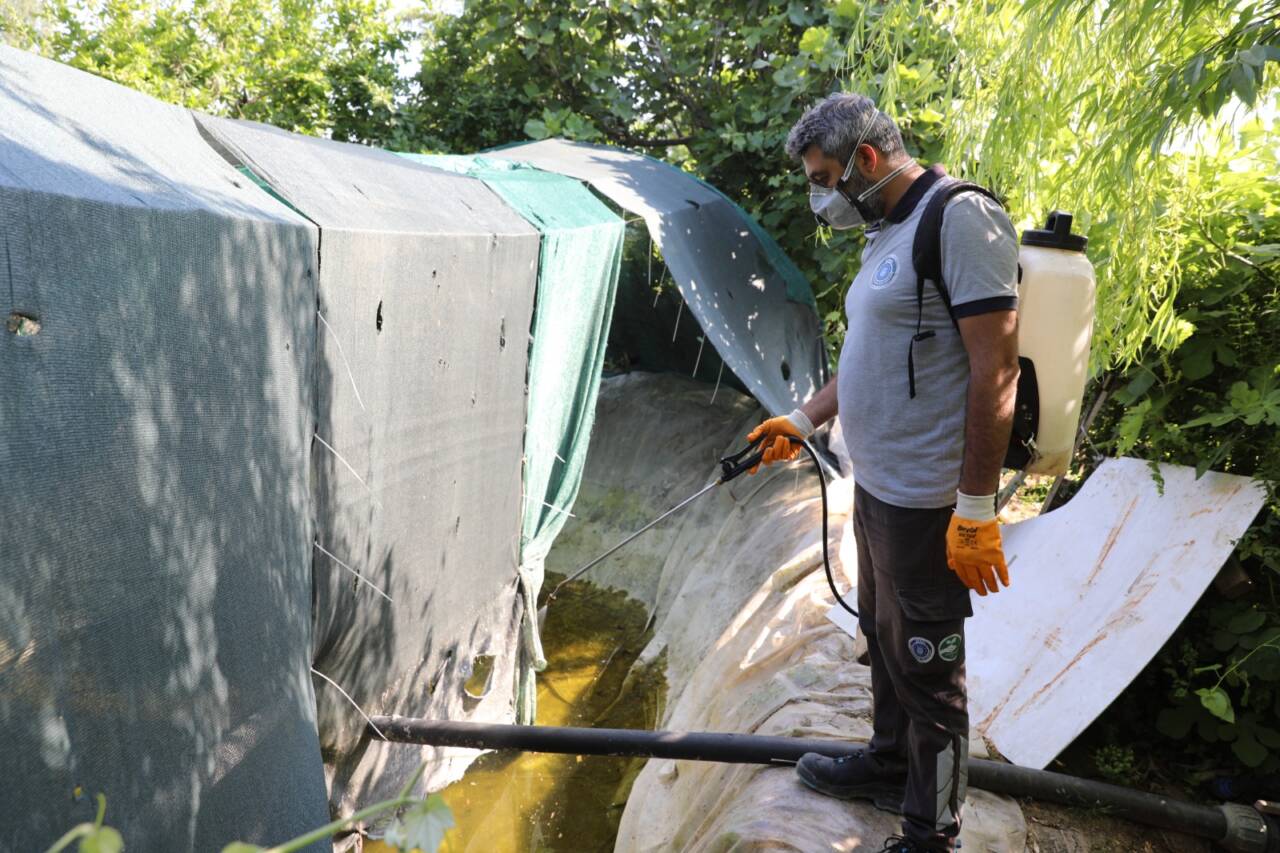 Bursa’da yaz alarmı! Dev ekip sahada... 3 37286mtzhmze1yz3