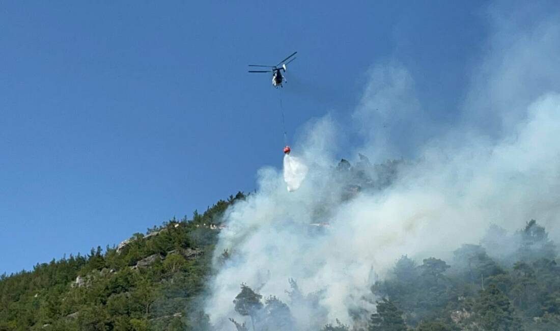 Bursa’da ağaçlık alanda çıkan yangın paniğe neden oldu. İhbar üzerine