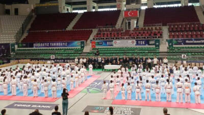 Türkiye Karate Federasyonu bünyesinde faaliyet gösteren Kyokushin branşının uluslararası alandaki