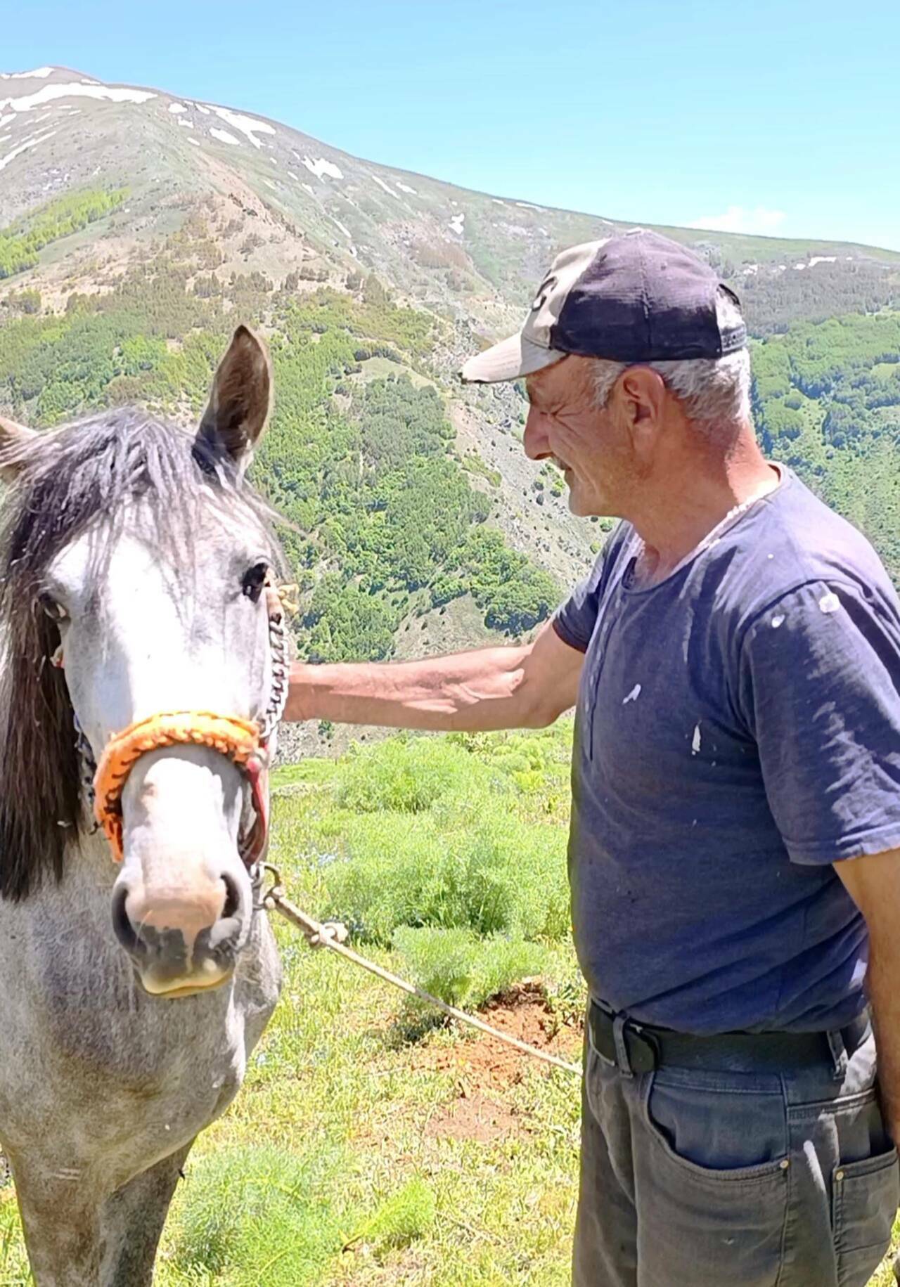 40 yıldır dağda tek başına yaşıyor 5 40 yildir dagda tek basina yasiyor e07c7410b682
