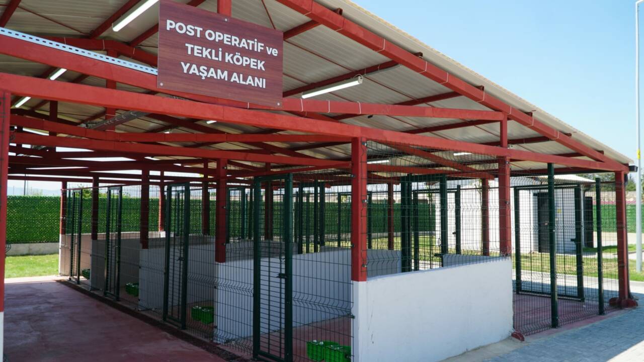 Bursa'ya Güney Marmara'nın en modern hayvan bakımevi 7 660c0c78 e5ed 469e bd72 ff6e16a7d566