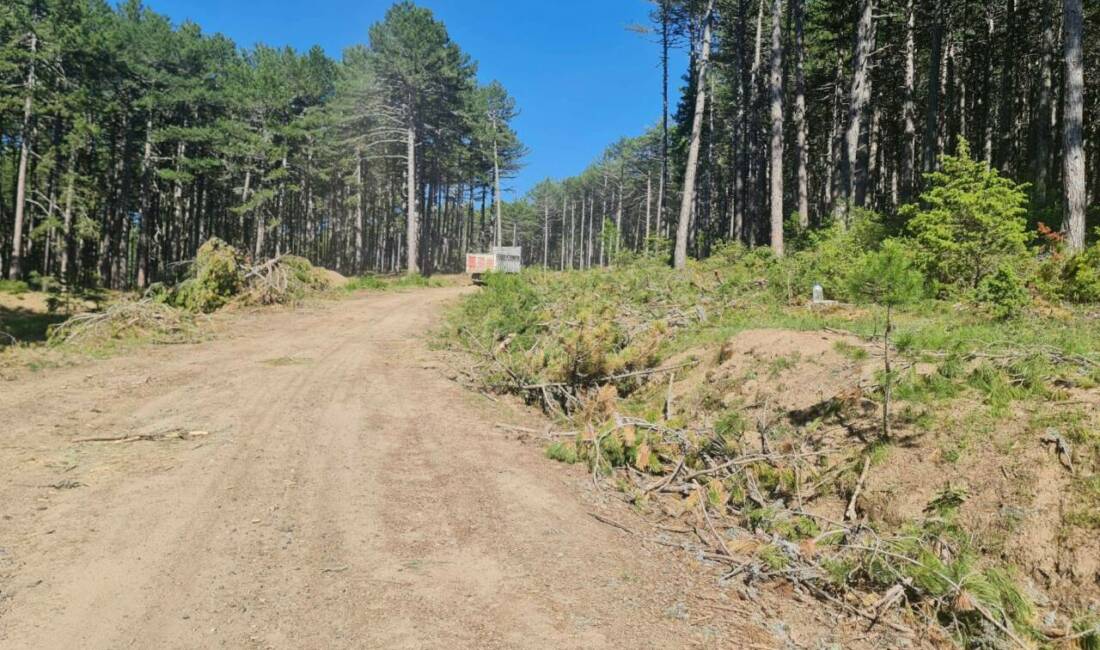 Bursa’da orman yangınlarına karşı önleyici çalışmalar sürüyor. Yol kenarlarındaki kuru