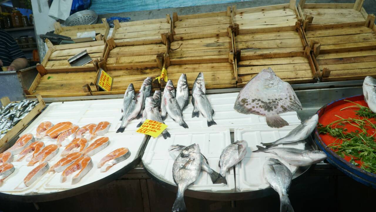 Bursalılar bu ay balığa hücum etti! İşte tarihi pazardaki balık fiyatları... 5 9355f7a3 ffcb 4057 8456 ebce5d59c2dc